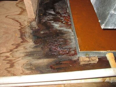 About Adams MA Fire, Water Damage, and Mold Remediation - emergency restoration services experts in Adams , MA