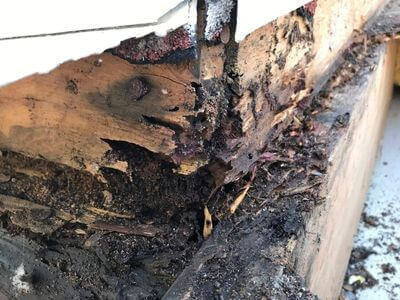 Professional emergency restoration services services in Adams , MA - Adams MA Fire, Water Damage, and Mold Remediation